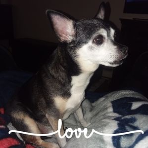 Meet your Posher, Lorraine